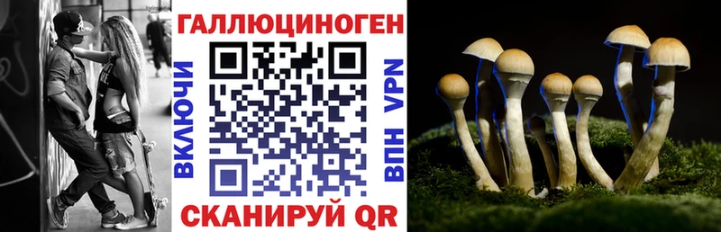 Псилоцибиновые грибы Magic Shrooms  Купить закладки  Шумиха 